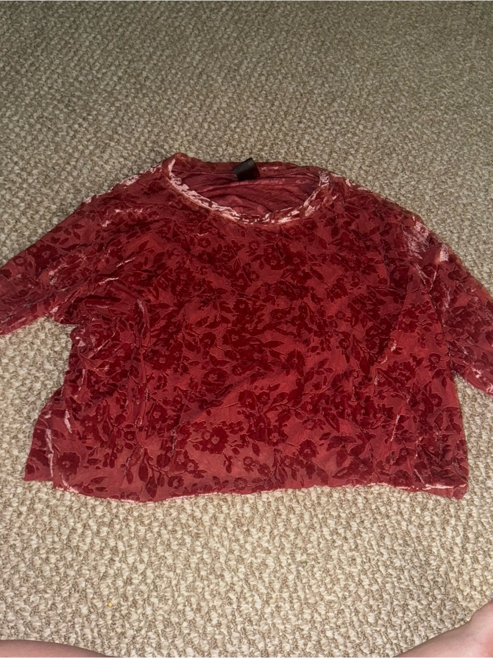 Agnes & Dora Velvet Burnout Floral Crop Top in Deep Red